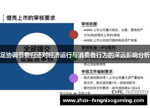 足协调节费归还对经济运行与消费者行为的深远影响分析