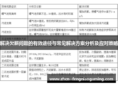 解决欠薪问题的有效途径与常见解决方案分析及应对策略