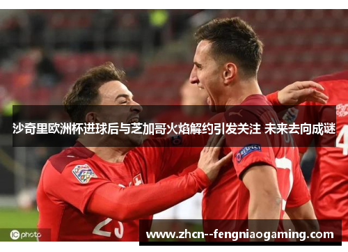 沙奇里欧洲杯进球后与芝加哥火焰解约引发关注 未来去向成谜 沙奇里欧洲杯进球后与芝加哥火焰解约引发关注 未来去向成谜