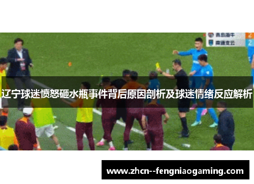 辽宁球迷愤怒砸水瓶事件背后原因剖析及球迷情绪反应解析 辽宁球迷愤怒砸水瓶事件背后原因剖析及球迷情绪反应解析