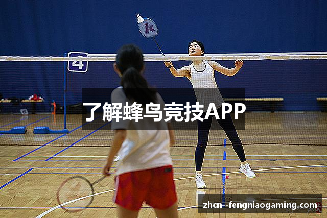 了解蜂鸟竞技APP